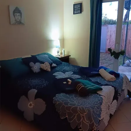 Paradis Terrestre Sud De La France, Avec Sa Piscine Bali Privee, Clim, Jardin, Animaux Admis,5 Mn Autoroute Toulouges