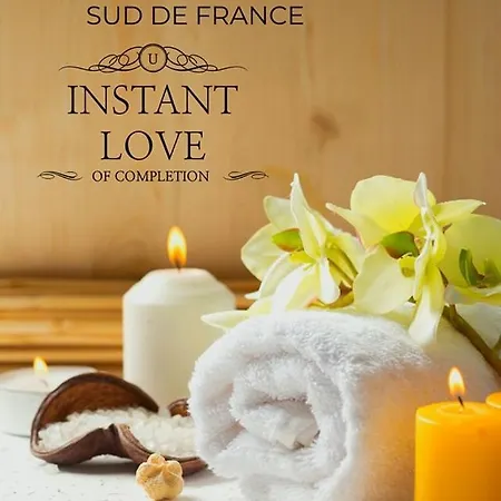 Paradis Terrestre Sud De La France, Avec Sa Piscine Bali Privee, Clim, Jardin, Animaux Admis,5 Mn Autoroute * Toulouges
